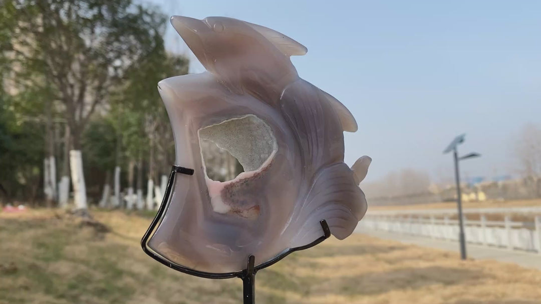 Unique Natural Crystal Carved Agate Geode Dolphin