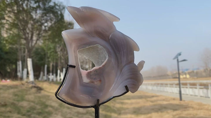 Unique Natural Crystal Carved Agate Geode Dolphin