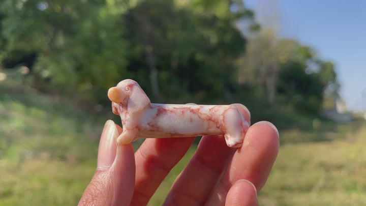 Natural Crystal Carving Cute Dachshund