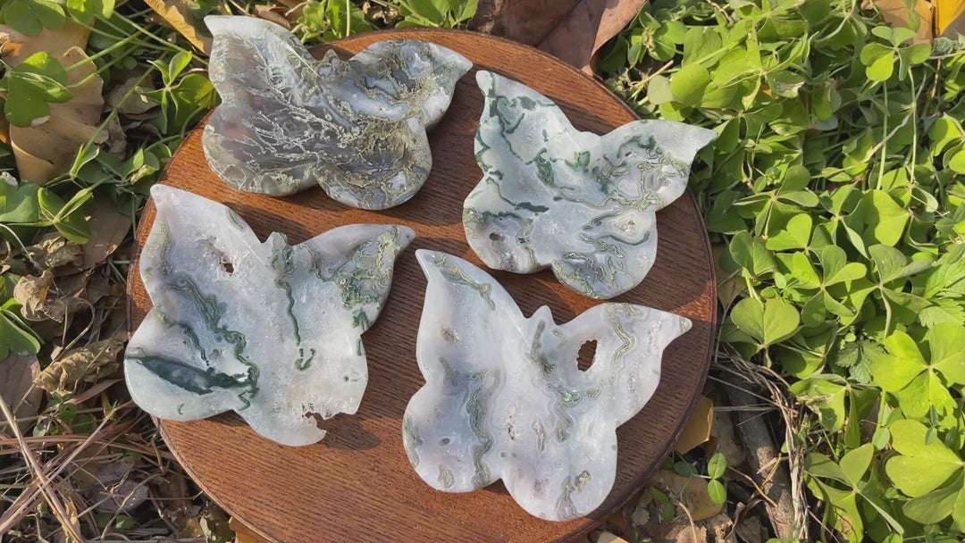 Unique,Natural Moss Agate Butterfly Bowl