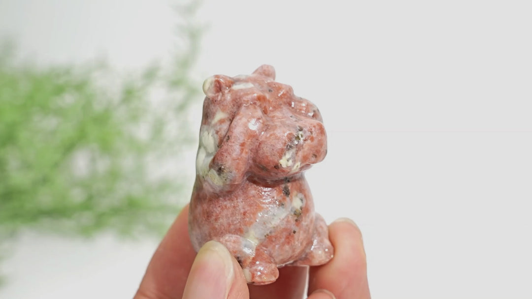 Natural Crystal Whimsical “Three No” Hippo Set