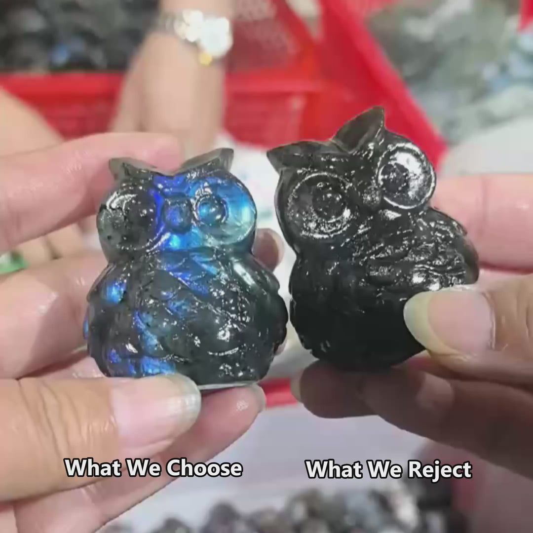 Crystal Abundance Scoop — 100% Certified Natural Crystals