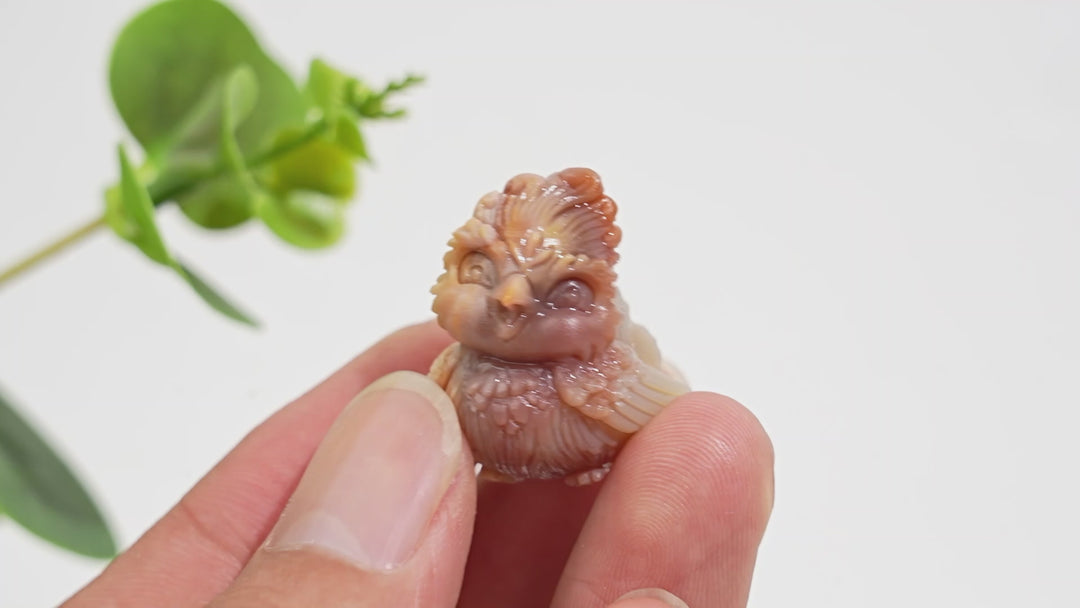 Natural Crystal Carving Alashan Agate Chubby Smiling Phoenix