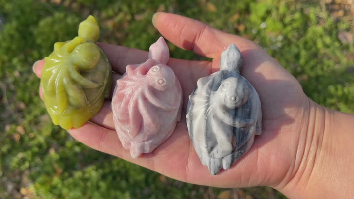 Natural Crystal Carving Octopus-Turtle Symbiosis