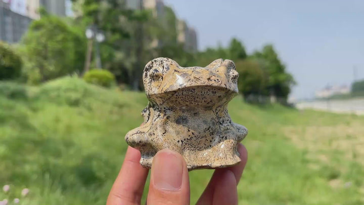 Natural Picture Jasper Big-Eyed Frog Carving