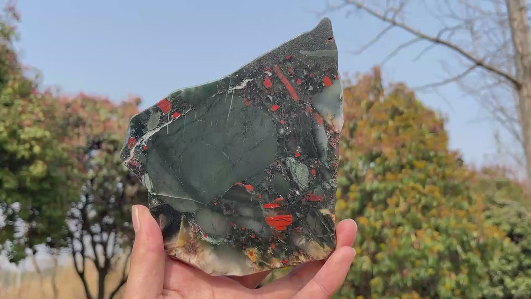 Unique,Natural Crystal African Bloodstone Slice