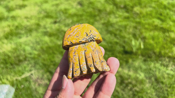 Ocean Jasper Jellyfish