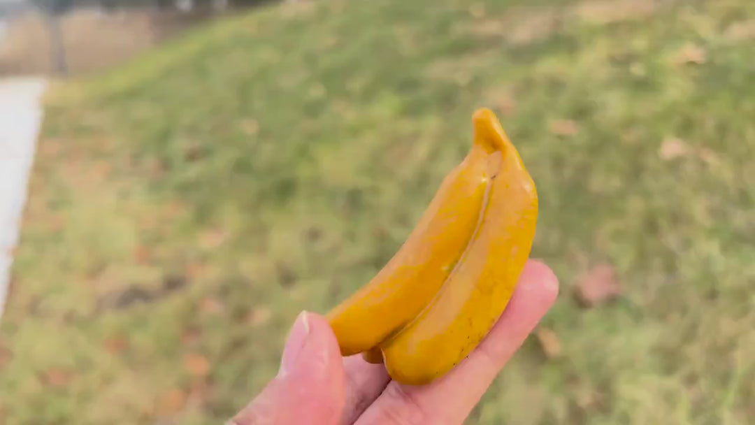 Natural Carved Yellow Aventurine Banana