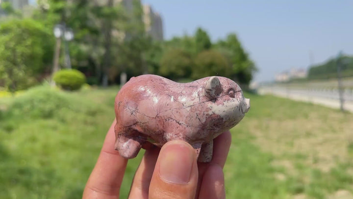 Natural Crystal Picture Jasper Pig Carving
