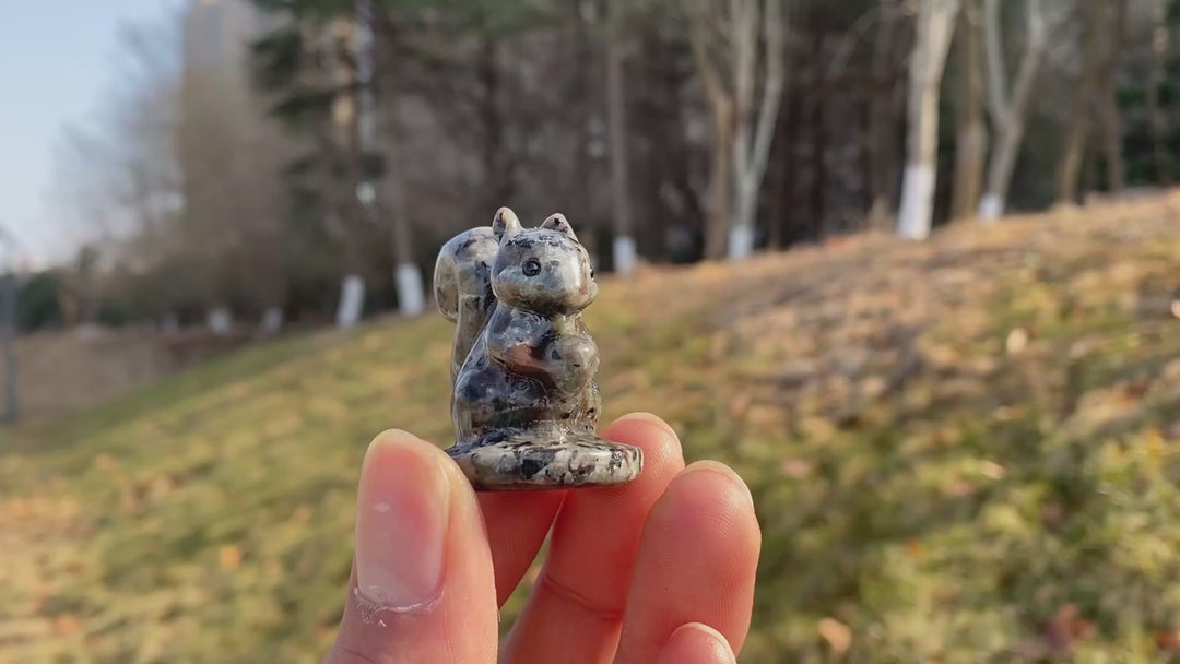 Natural Crystal Holding Pinecone Squirrel