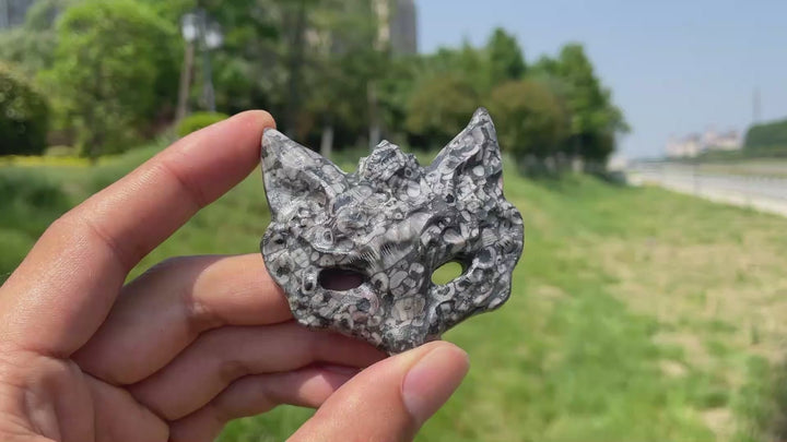 Natural Crystal Enchanting Fox Mask Carving