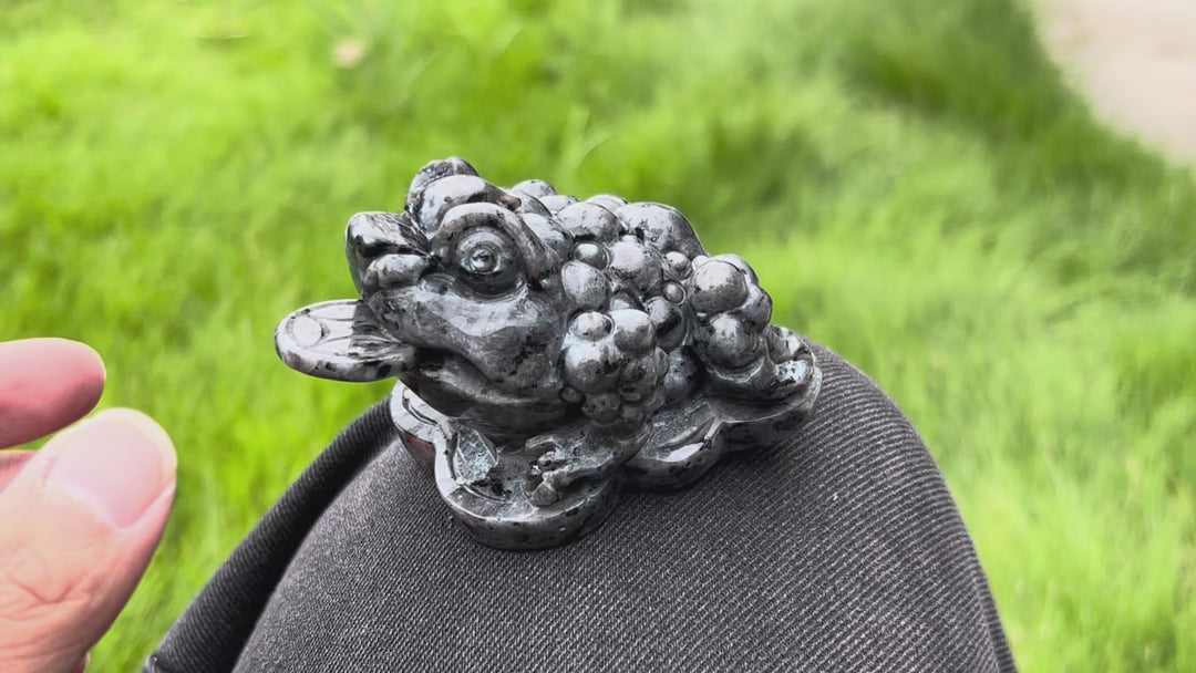 Natural Larvikite Money Toad