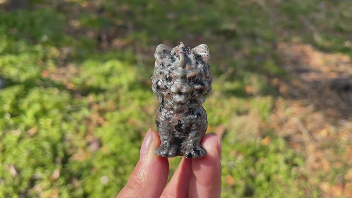 Natural Crystal Carving Yooperlite Qilin