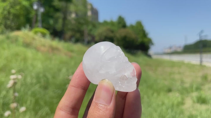 Natural Crystal Vampire Skull Carving
