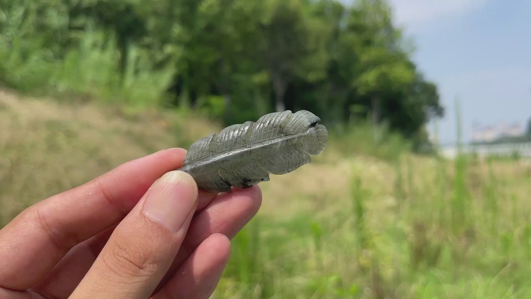 Natural Crystal Labradorite Feather Carving