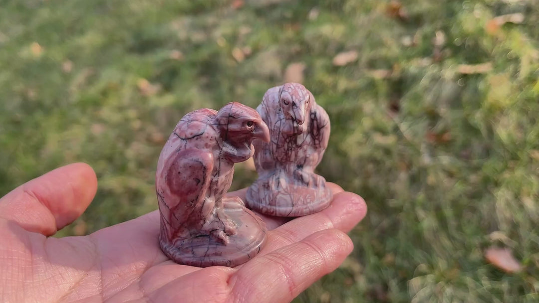 Natural Picture Jasper Vulture Figurine