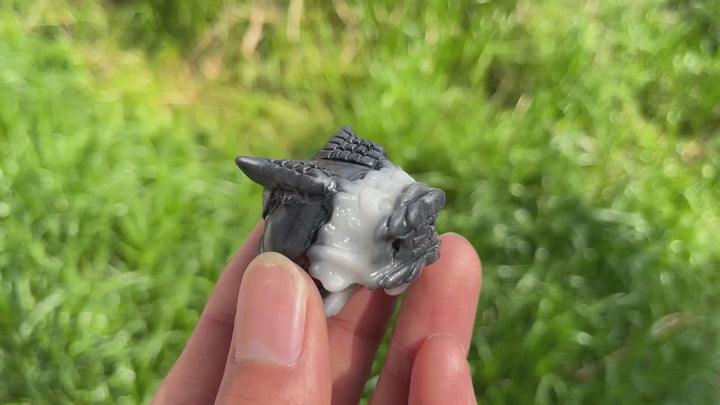 Natural Crystal TaiJi Stone Dragon Turtle