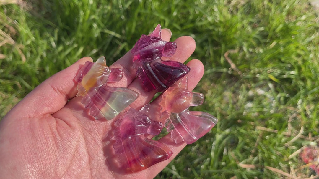 Natural Carving Rainbow Fluorite Unicorn