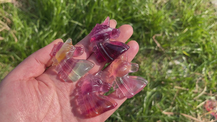 Natural Carving Rainbow Fluorite Unicorn