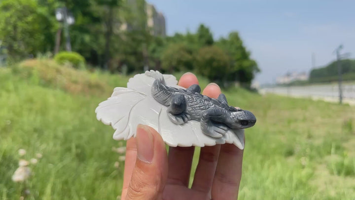 Unique,Natural TaiJi Stone Charming Lizard Carving