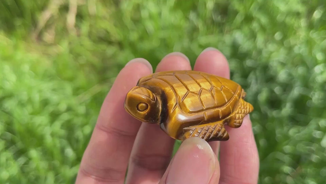 Natural Crystal Tiger Eye Turtle Carving
