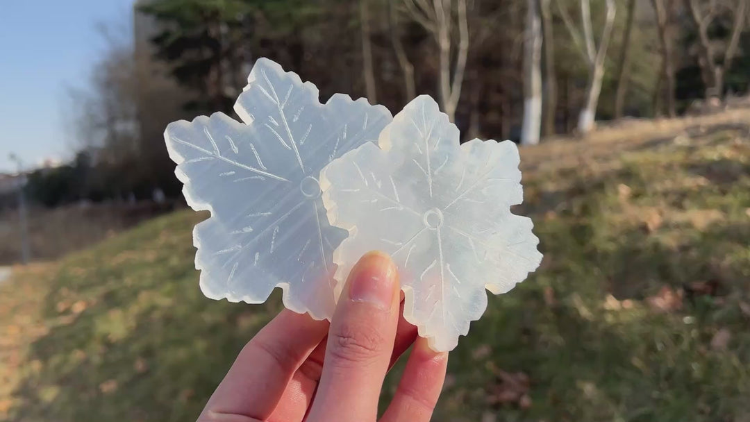 Natural Selenite Snowflake