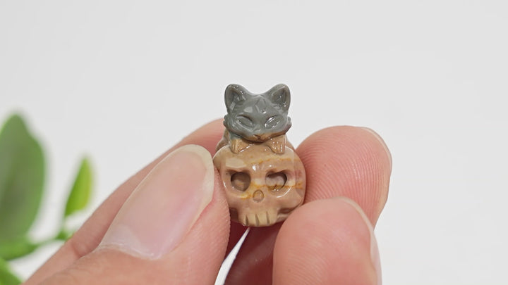 Natural Crystal Carving Alashan Agate Cat On Skull