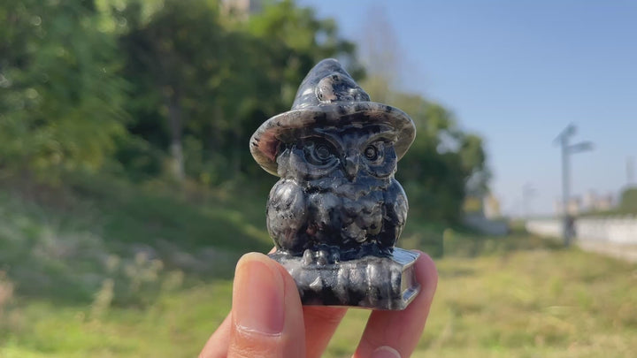 Natural Crystal Carving Wizard Owl On Book