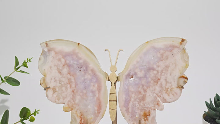 Unique,A Slightly Imperfect Natural Exquisite Pink Amethyst Butterfly Wings
