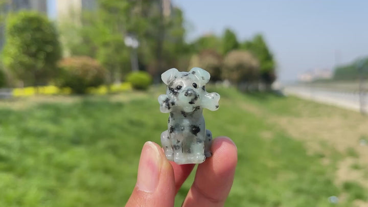 Natural Crystal Puppy With A Bone Carving