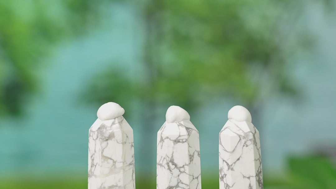 Natural Howlite point