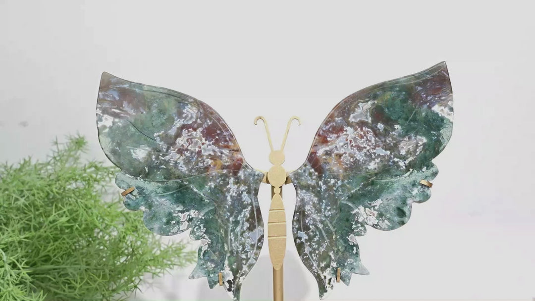 Unique,Natural Ocean Jasper Butterfly Wings On Stand