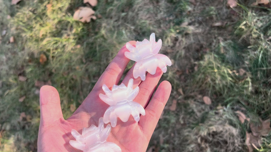 Natural Crystal Carving Selenite Spider