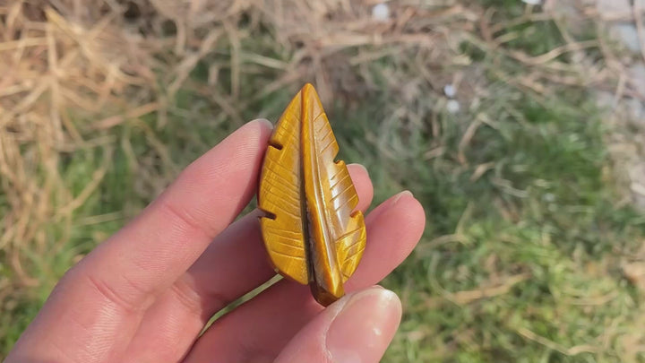 Natural Crystal Carving Tiger Eye Leaf