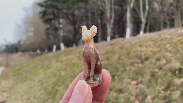 Moonstone Sphynx Cat