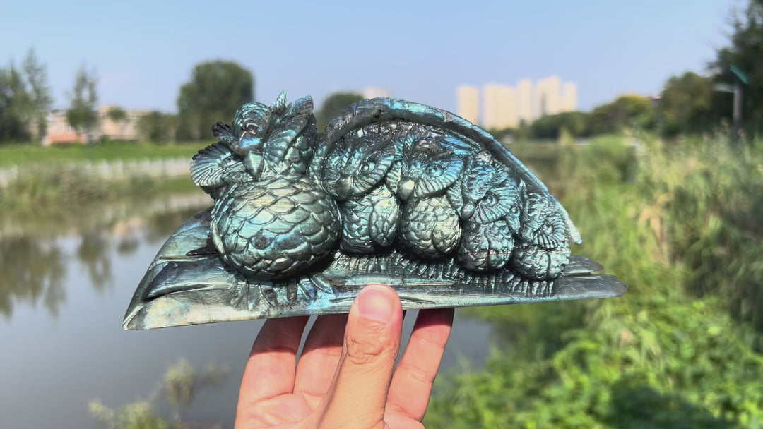 Labradorite Owl Family