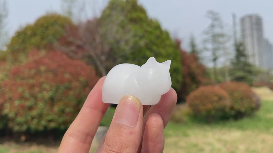 Natural Crystal Clear Quartz Bread Cat Carving