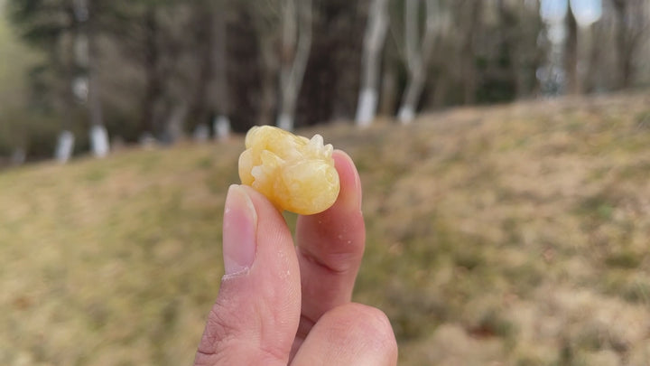 Natural Crystal Carving Mini Salamander