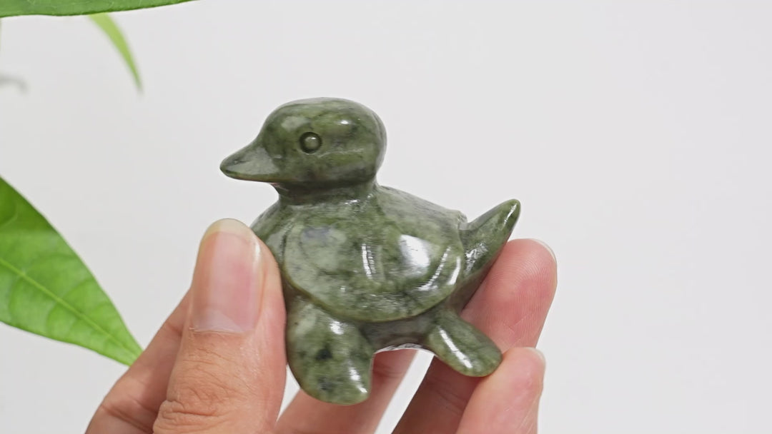 Natural Serpentine Turtle-Duck Hybrid Carving