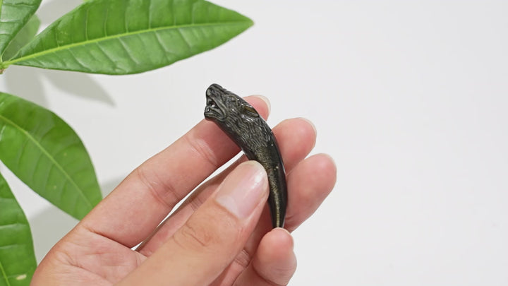 Natural Crystal Golden Obsidian Wolf Tooth