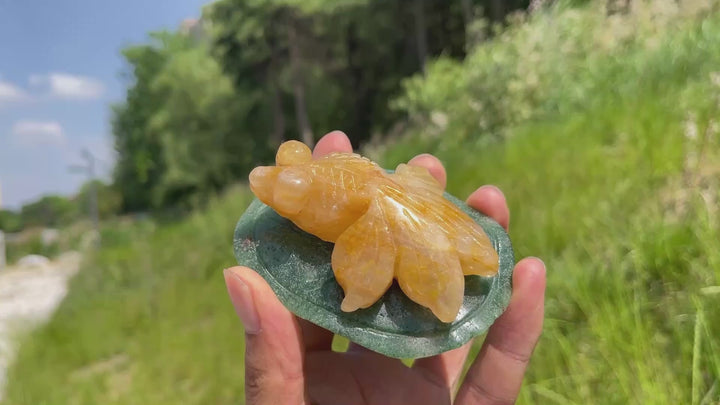 Unique,Natural Crystal Animal On Lotus Leaf Carving