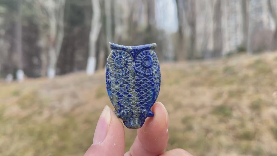 Natural Crystal Carving Owl