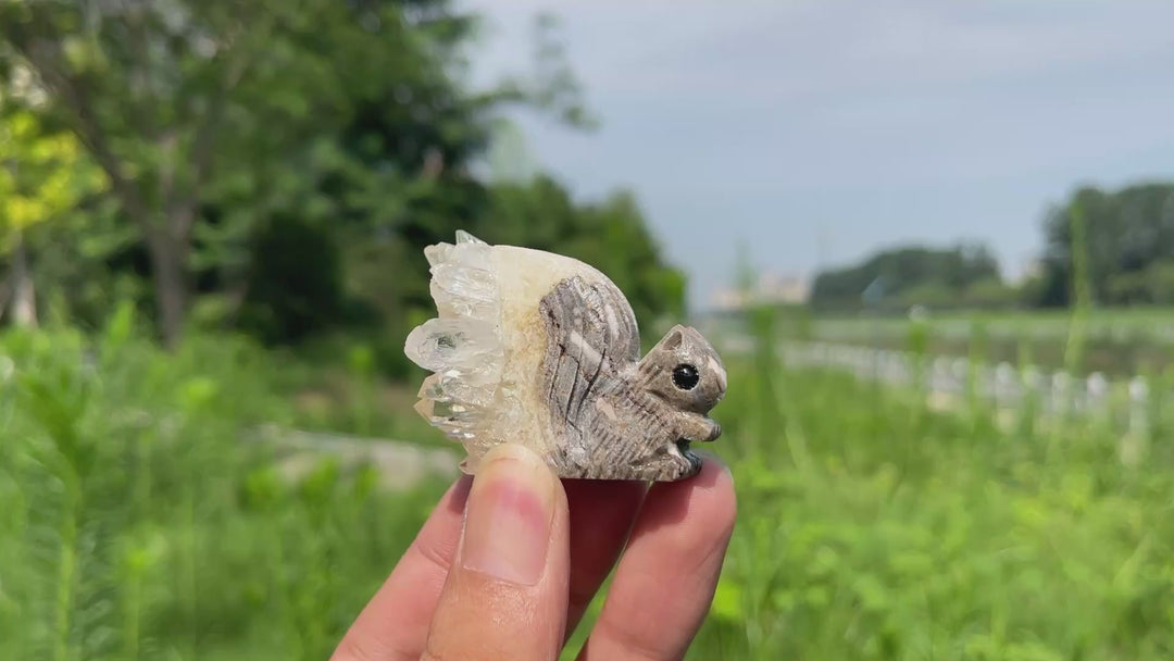 Natural Quartz Cluster Squirrel Carving