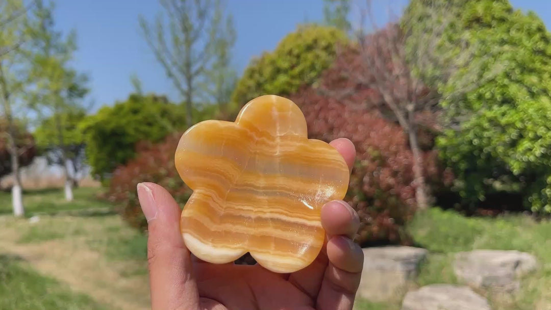 Natural Yellow Calcite Multi-Shape Bowls