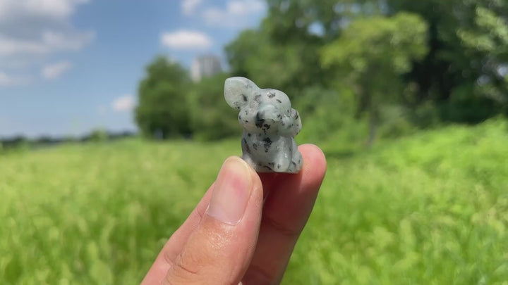 Natural Crystal Carving Mixed Materials Pig