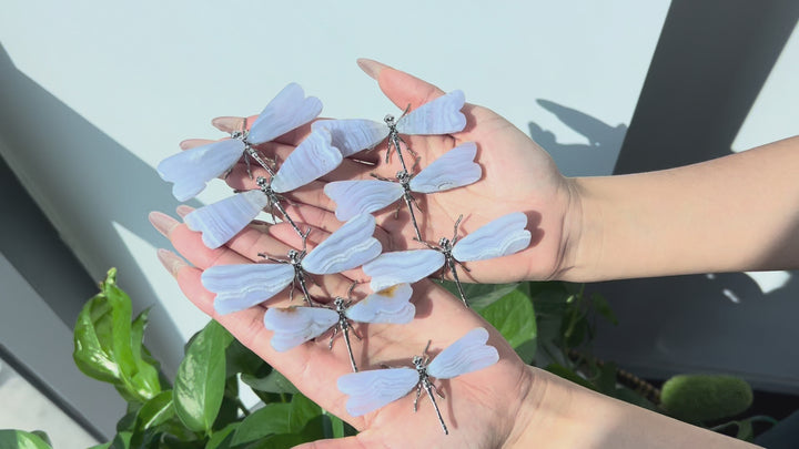 Blue Lace Agate Dragonfly