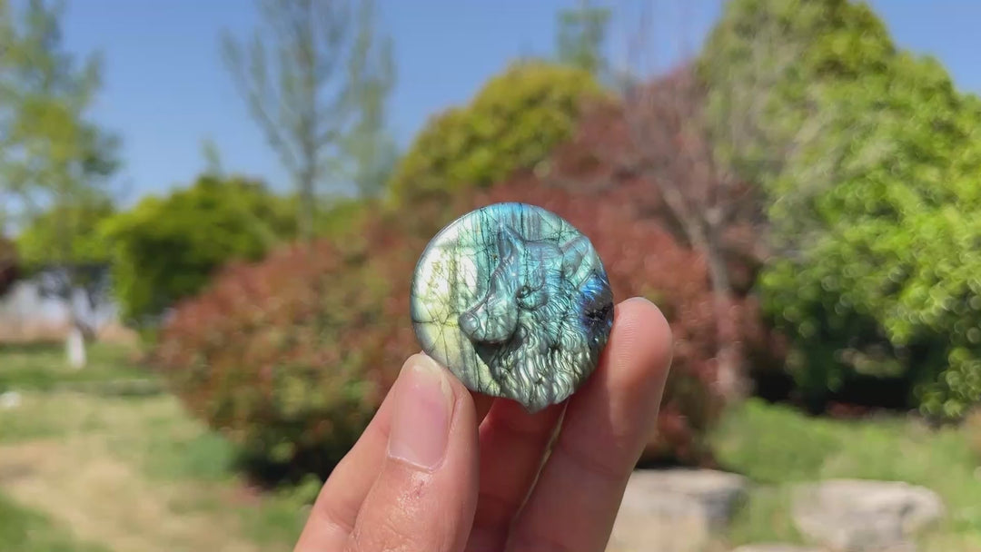 Natural Labradorite Carved Wolf Head Coin