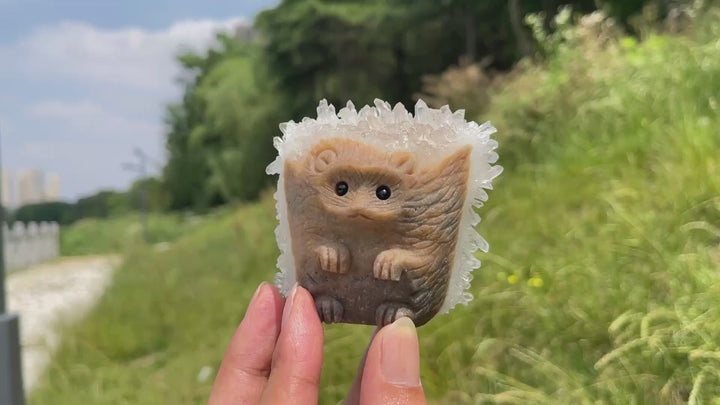 Unique,A Slightly Imperfect Natural Cluster Hedgehog Crystal Carving