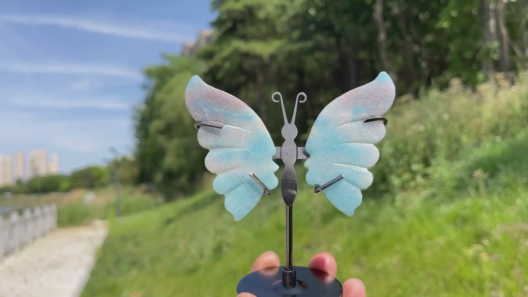 Unique,Natural Trolleite Butterfly Wings Display