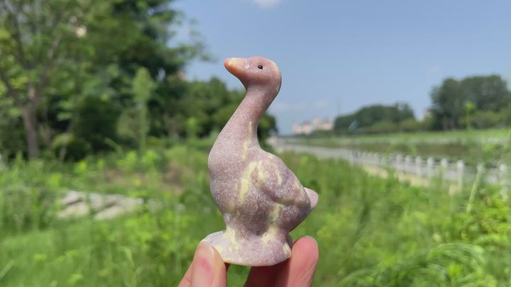 Natural Crystal Upturned Neck Duck Carving